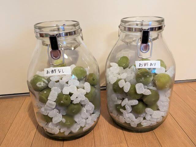 冷凍した青梅と氷砂糖を２つの容器に入れた画像
左＝お酢無し
右＝お酢あり